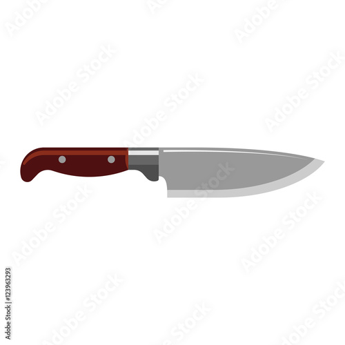 Kitchen knife vector
