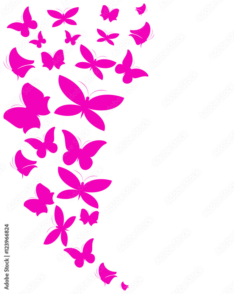 color butterflies,isolated on a white