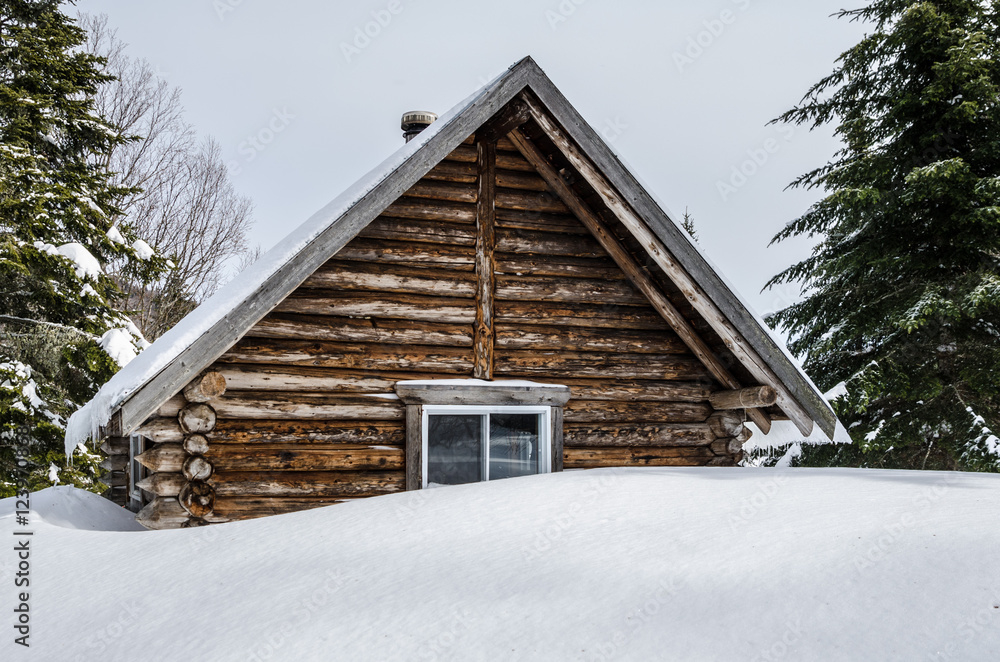 Log cabin Log cabin