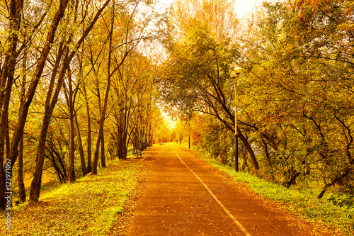 Beautiful fall landscape with narrow alley road