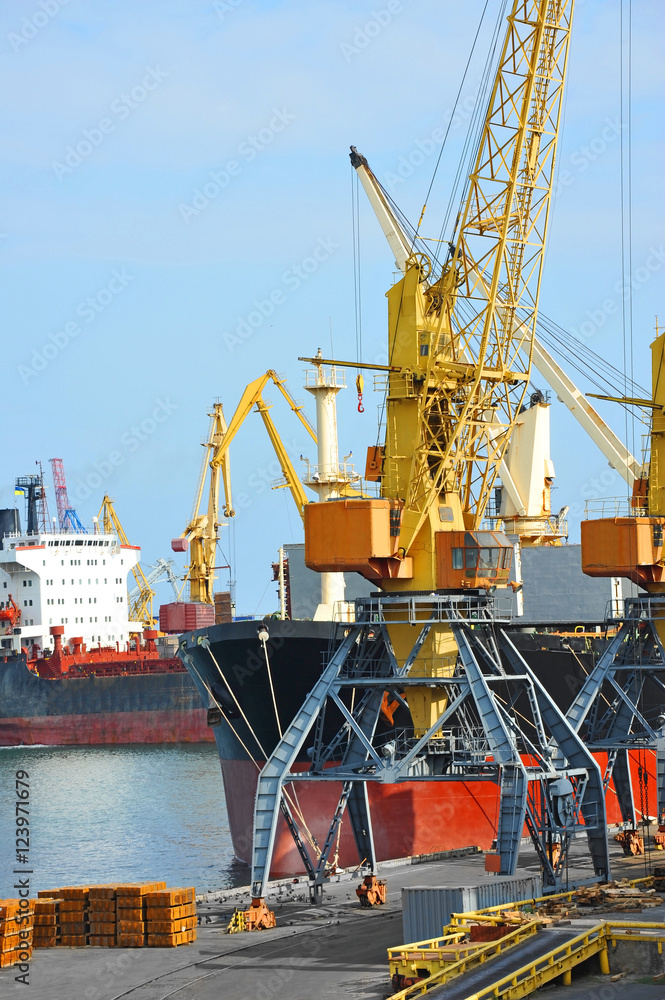 Bulk cargo ship under port crane