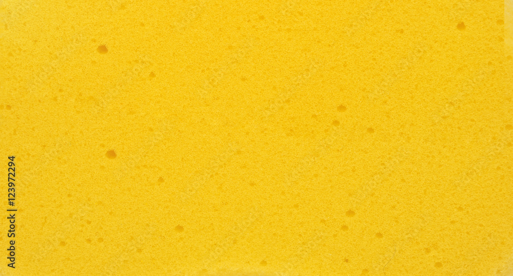 Sponge texture background