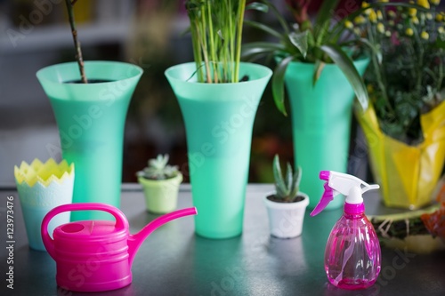 Fototapeta Naklejka Na Ścianę i Meble -  Flower vase, watering can, pot plant and spray bottle on table