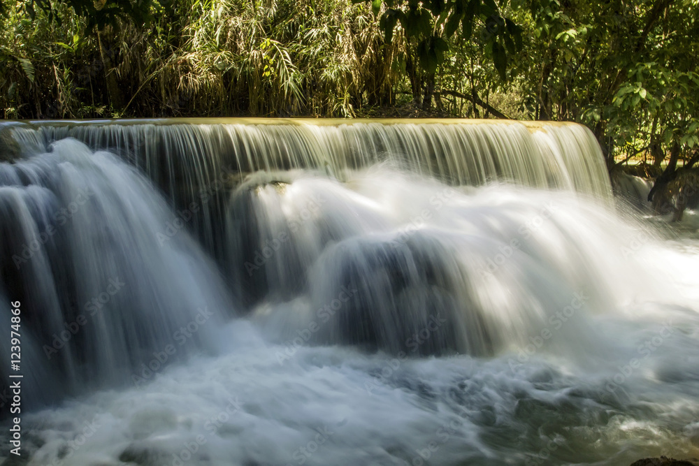 Fototapeta premium Waterfall in the forest landscape