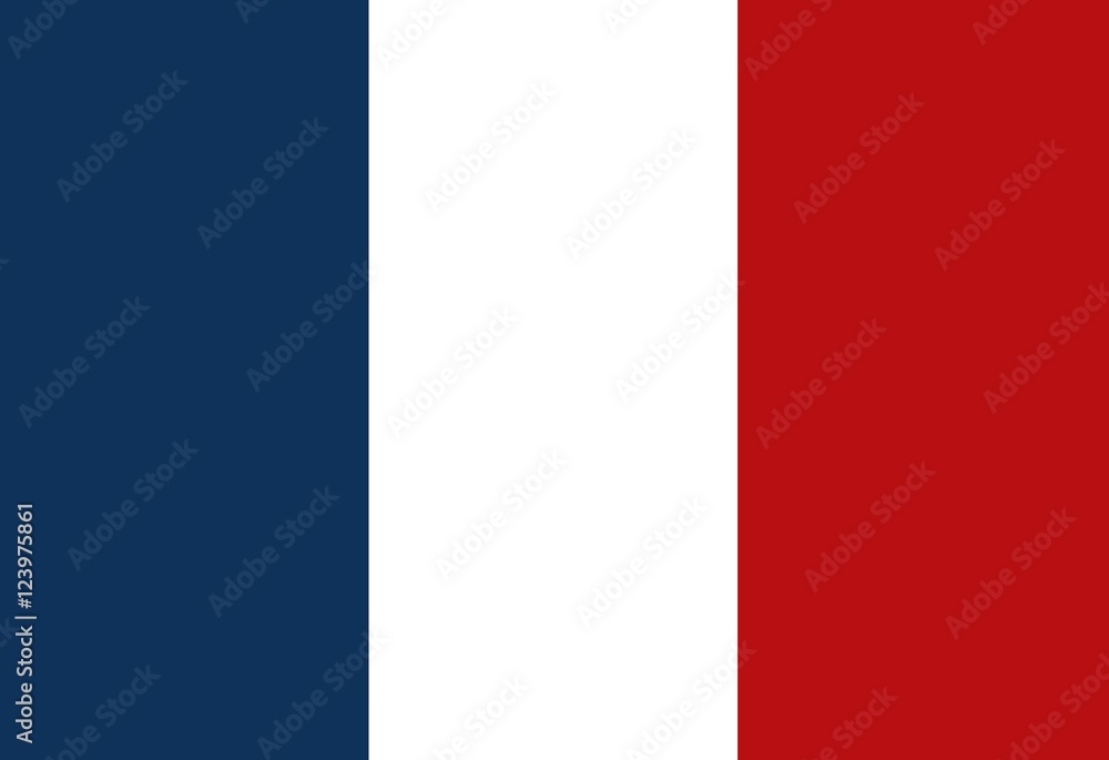 france flag classic culture vector illustration design france flag classic culture vector illustration design