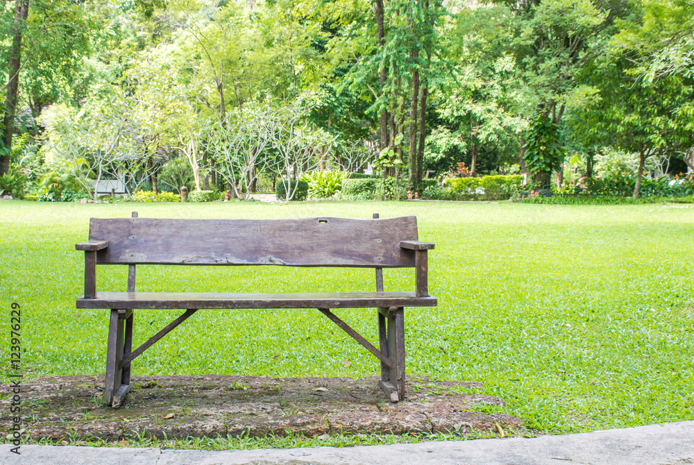 Wooden park bench in the park