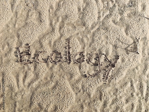 Font wrote 'ecology' on the sand