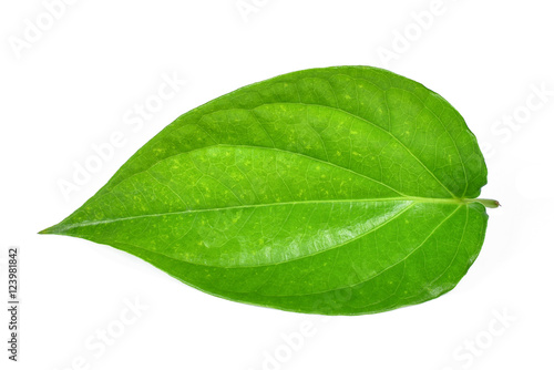 Canvastavla Green betel leaf heart shape isolated on white