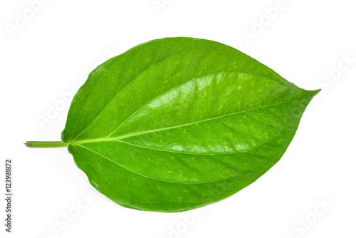 Принти на полотні Green betel leaf heart shape isolated on white