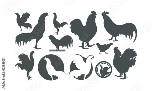 chicken vector illustration  logo