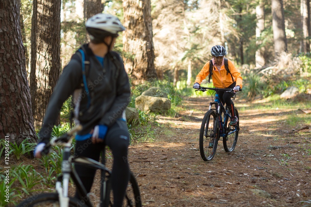 Naklejka premium Biker couple riding mountain bike in the forest
