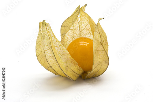 One physalis fruit (Physalis peruviana)