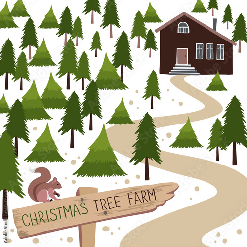 Christmas tree farm vector illustration.