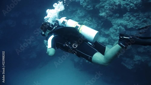 Diver swims at the depth. Red Sea. photo