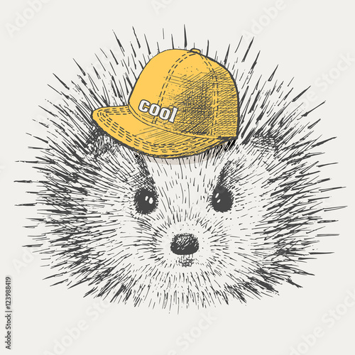 hedgehog is a rapper cap