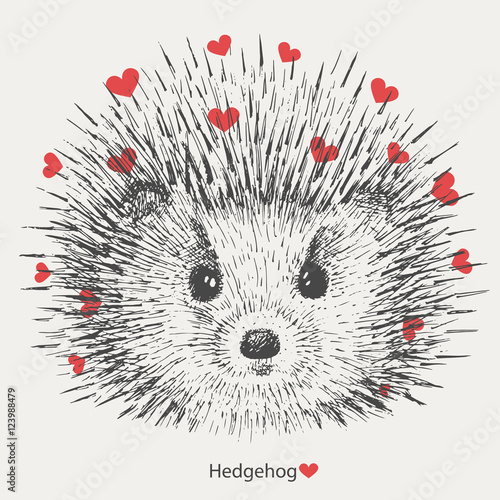 hedgehog with hearts