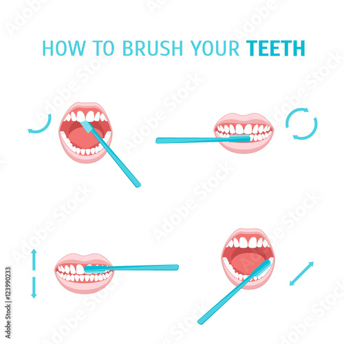 How To Brush Your Teeth. Vector