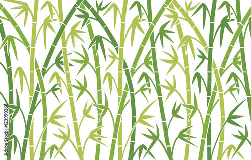 Naklejka tło wektor z zielonych łodyg bambusa