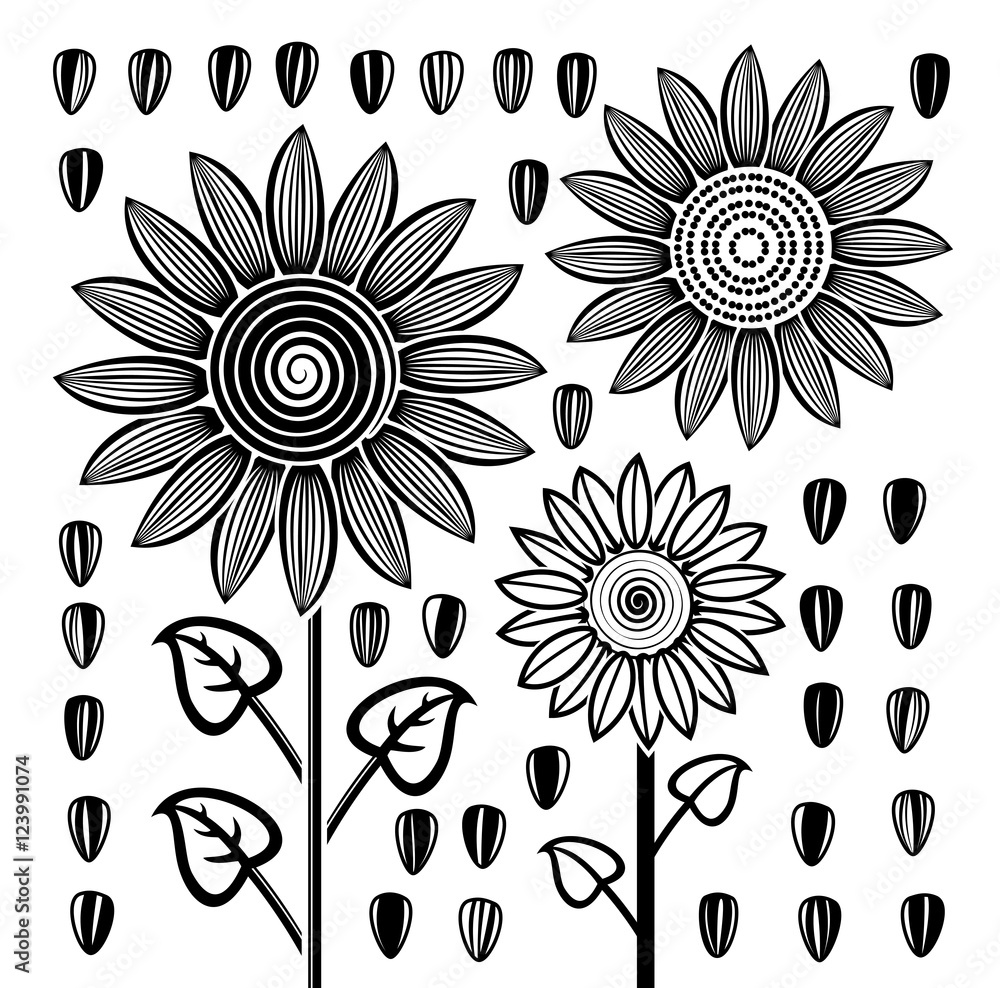 vector black and white sunflowers and seeds Stock Vector Adobe Stock