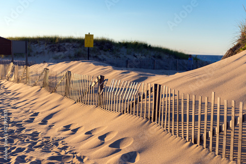 fence on sand dune near the Atlantic ocean, Cape Cod, USA © Ekaterina Elagina