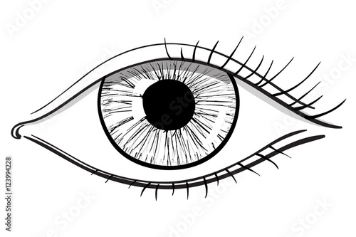 Eye. Hand drawn doodle