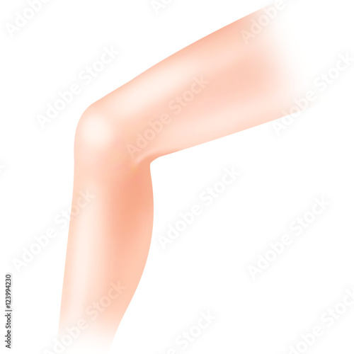 Leg