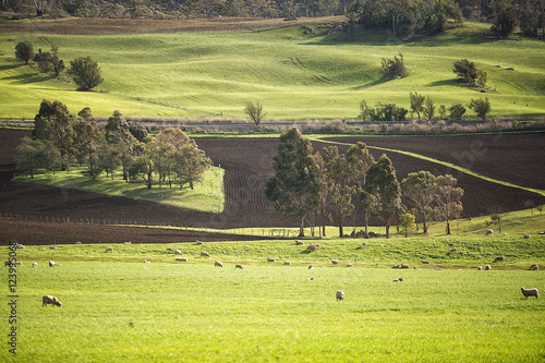 Rural landscape Colebrook Tasmania photo