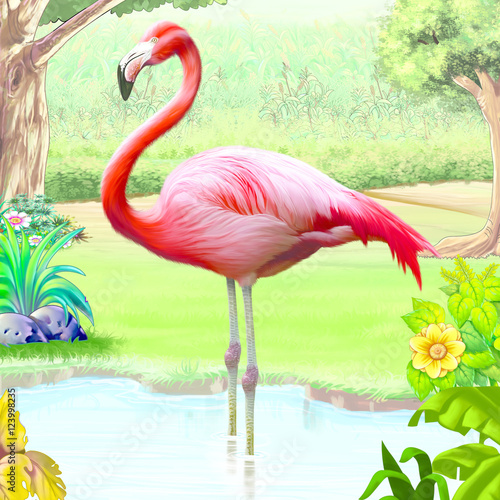 Flamingo