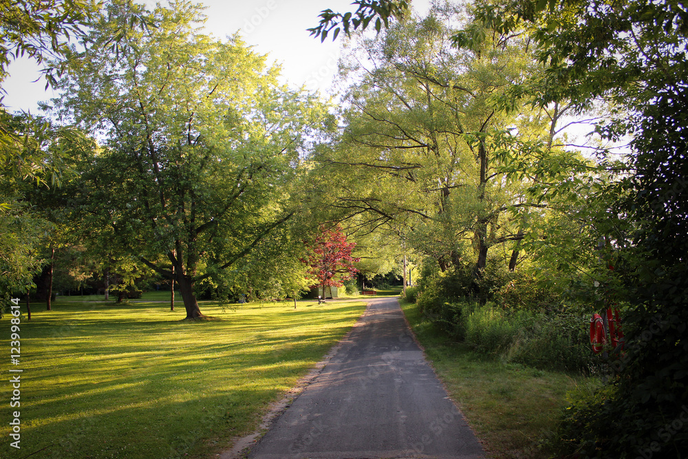 Naklejka premium Toronto Island Park, Canada