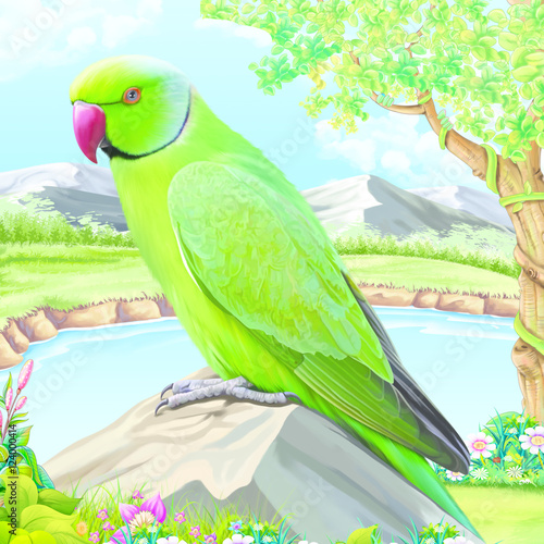 Parrot