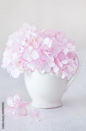 Beautiful pink hydrangea flowers close-up in a ceramic jug on a light background. 