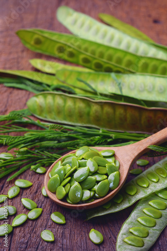 Green popinac seed on wooden spoon with pods of leucaena leucocephala on bunch at the background. (Leucaena, Acacia) photo