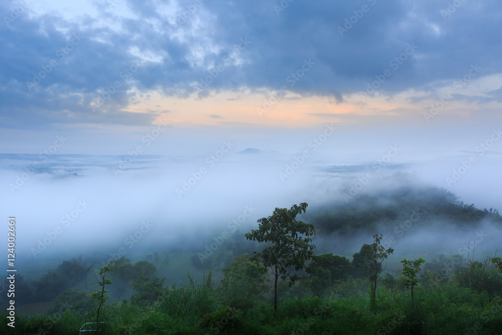 Obraz premium The landscape photo, beautiful sea fog in morning time at Khao Kho, Phetchabun in Thailand