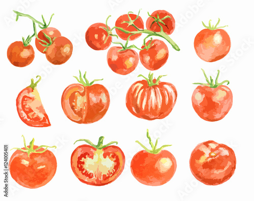 Watercolor tomatoes set on white background. Healthy and ripe fresh vegetables for cooking and decoration.