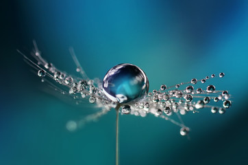Beautiful dew drops on a dandelion seed macro. Beautiful soft light blue and violet background. Water drops on a parachutes dandelion on a beautiful blue. Soft dreamy tender artistic image form.