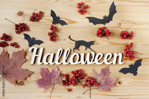 Halloween holiday background, text, cat, berries and bats. View from above.