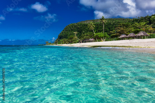 Tropical vibrant natural beach on Samoa Island with palm trees a