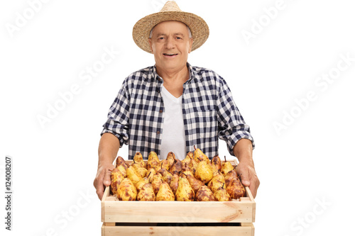 Joyful senior farmer holding a crate full of pears