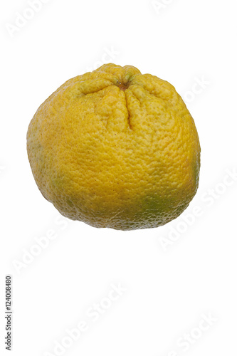 Ugli fruit (Citrus reticulata x Citrus paradisii). Called Ugly fruit also. Jamaican form of Tangelo, hybrid between Grapfruit, Orange and Tangerine. Image of fruit isolated on white background