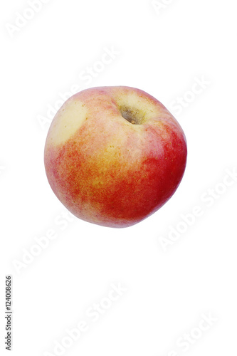 Pacific Rose apple (Malus domestica Sciros). Hybrid between Gala and Splendour apples. Image of apple isolated on white background © nickkurzenko