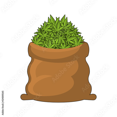 Full Sack of cannabis. Large bag of marijuana. Smoking drug. hea
