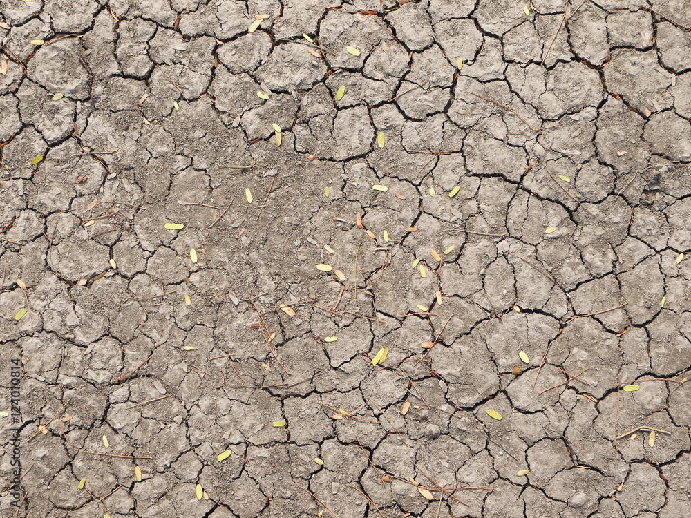 crack in the ground crack in the ground