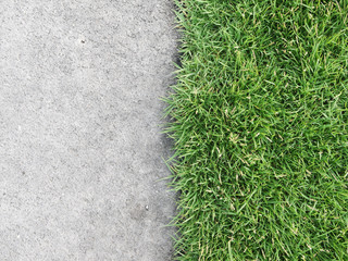 concrete floor and grass background