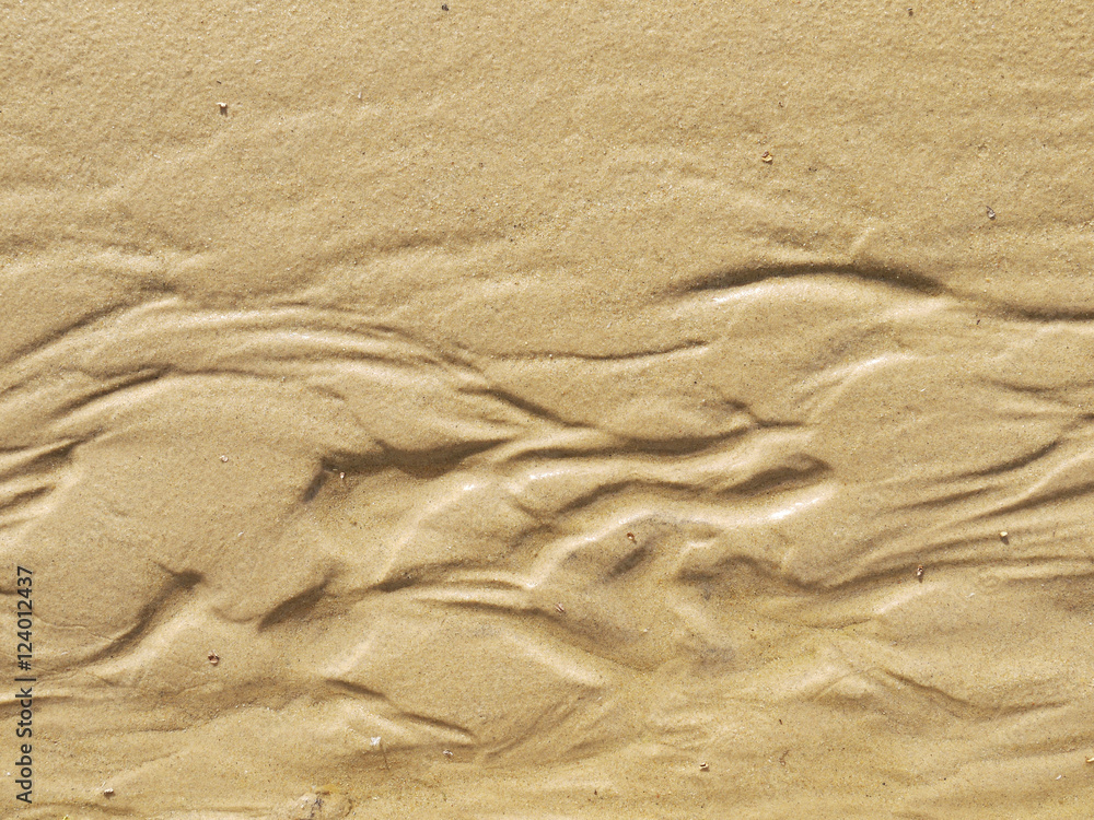 sand texture sand texture