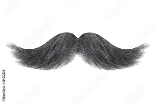 Curly black with grey moustache isolated on white