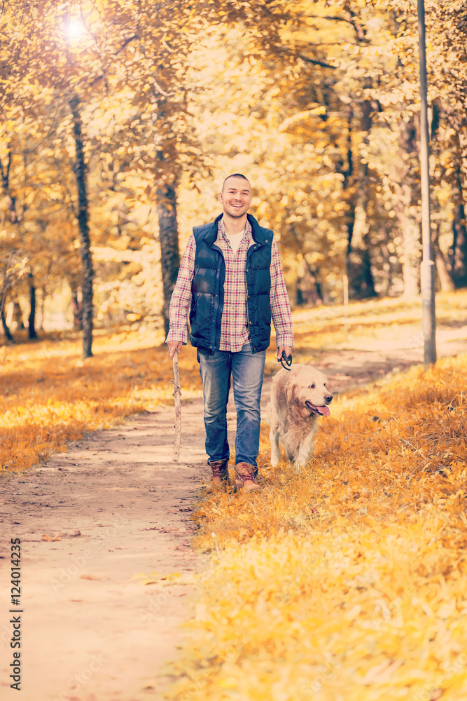 Fototapeta premium Young man walking a dog at the park in good weather. Boy and golden retriever. Autumn environment
