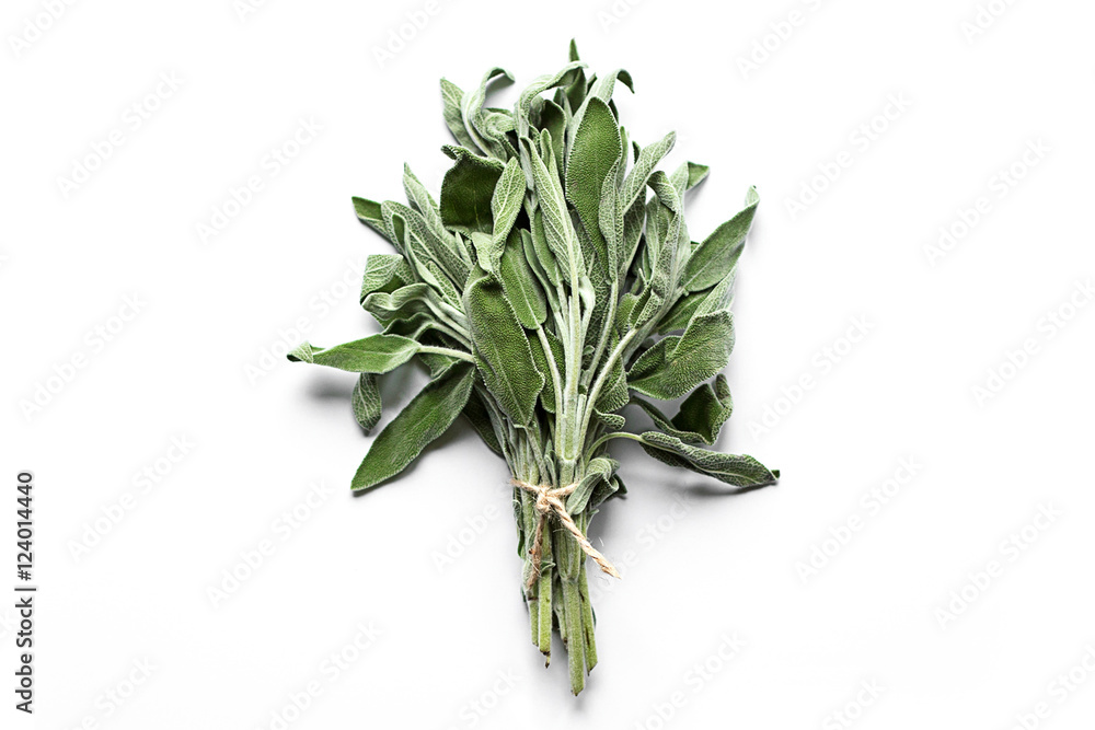 Fotografie Fresh sage isolated on white top view