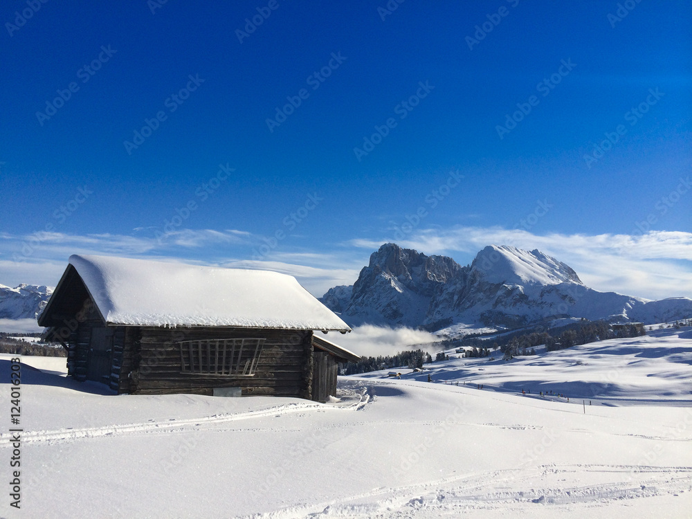 Old wooden barns in the Dolomites, Italy, Europe