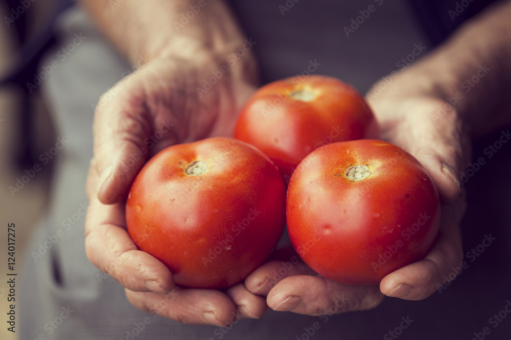 Tomatoes Tomatoes