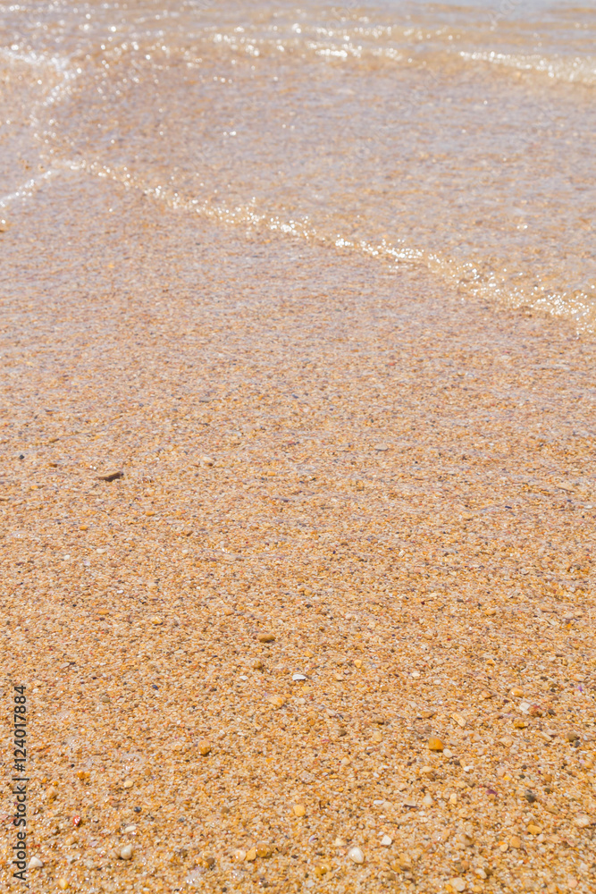 The sea beaches in summer in clear weather The sea beaches in summer in clear weather